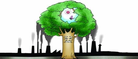 防治大气污染“国十条” 提高排污收费标准是关键一步